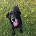 Malcolm Buchanan - Facebook
