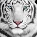 Malcolm Burton - Facebook
