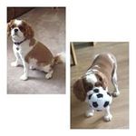 Malcolm Burton - @malcolmburton46 - Instagram