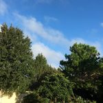 Malcolm Calhoun - @malcolm_calhoun - Instagram