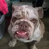 Sir Malcolm Charles - @sir.malcolm.charl - TikTok