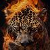 Malcolm Clarke - Facebook