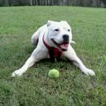 Malcolm Clarke - @malc078 - Instagram