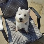 Malcolm Clarke - @malcolmclarke36 - Instagram