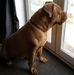 Malcolm Clements - Facebook
