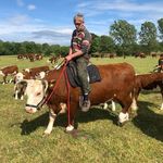 Malcolm Coles - @upper_ridgeway_farm - Instagram