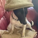 Malcolm Coombs - Facebook
