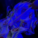 Malcolm Cortez - @cortez._805 - Instagram