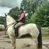 malcolmcowan8 - @malcolmcowan8 - TikTok