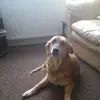 Malcolm dale - @malcolm.dale - TikTok