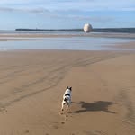 Malcolm Davidson - @malko19999 - Instagram