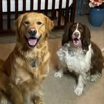 Dudley Malcolm and Benji Blue - @dudleymalcolm_benjiblue - Instagram