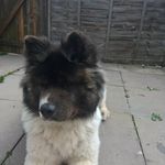 Malcolm Fletcher - @fletcher_malcolm - Instagram