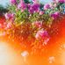 Malcolm Fox - Facebook