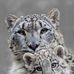 Malcolm FOX - Facebook