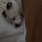 Malcolm Giles - @malcolmross.giles - Instagram