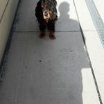 Malcolm Giles - @malc_giles - Instagram