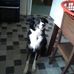 Malcolm Giles - Facebook