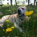 Malcolm Giles - Facebook