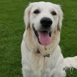 Malcolm Greenwood - @greenwoodmalcolm - Instagram