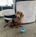 Malcolm Heath - Facebook