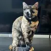Malcolm Whitehead - @malcolm.whitehead5 - TikTok