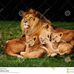 Malcolm Hooper - Facebook