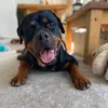malcolmhooper465 - @malcolmhooper465 - TikTok