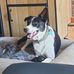 Malcolm Hope - Facebook