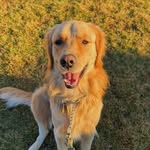 malcolm james - @malcolminthebigworld - Instagram