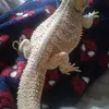 malcolmjoseph530 - @malcolmjosep - TikTok