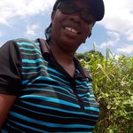 Joyce Malcolm - @joycemalcolm - Instagram