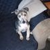 Malcolm Kay - Facebook