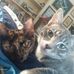Kelley Malcolm - Facebook
