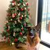 Malcolm Kirk - Facebook
