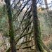 Malcolm Knapp Research Forest - Facebook