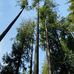 Malcolm Knapp Research Forest - Facebook