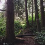 Malcolm Knapp Research Forest - @malcolmknappresearch - Instagram