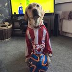 Malcolm Latham - @malc_latham_scfc - Instagram