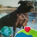 Malcolm Law - Facebook