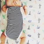 Malcolm Lemon - @malemonicious - Instagram