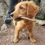 Malcolm Likes to Meddle - @malcolmlikestomeddle - Instagram