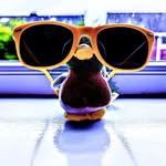 Malcolm aka Spy Duck - @malcolm_the_mallard - Instagram