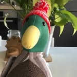 Mr Malcom M. Mallard - @malcymallard - Instagram