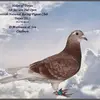Malcolm Mathieson - @malcolm.mathieson - TikTok