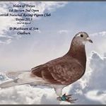 Malcolm Mathieson - @malcolmmathieson - Instagram