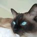 Malcolm Mcgee - Facebook