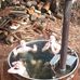 Malcolm McKay - Facebook