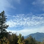Malcolm McPhee - @malcolmmcphee29 - Instagram