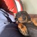 Malcolm Moore - Facebook